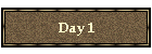 Day 1
