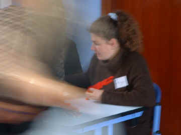 DSCF0254.JPG (35687 bytes)